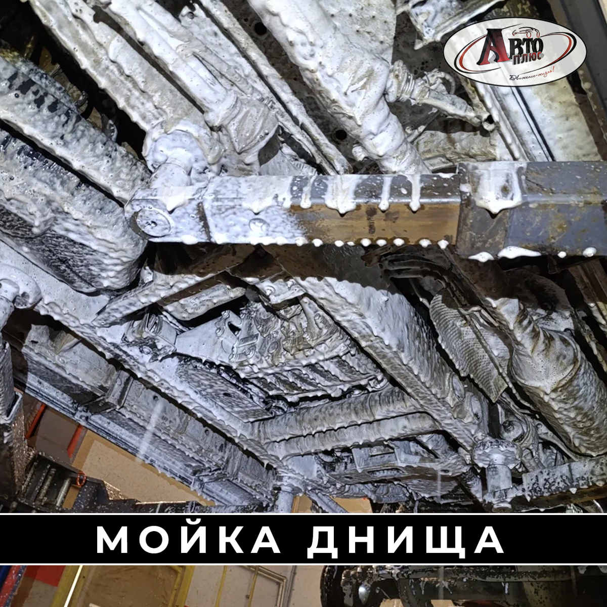 mojka_524100