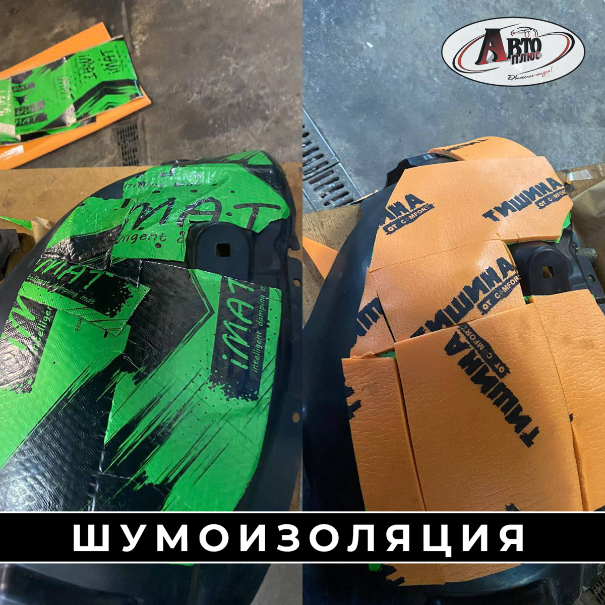 shvi_009822