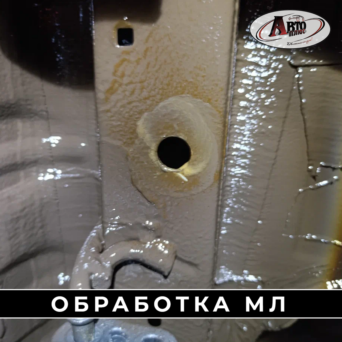 ml_206449