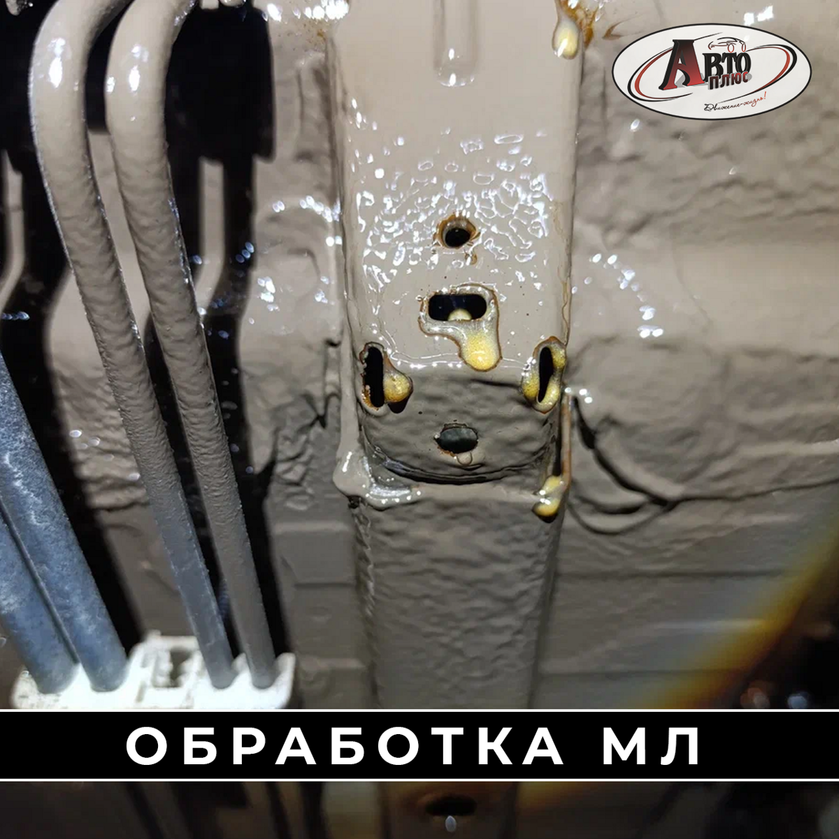 ml_012368