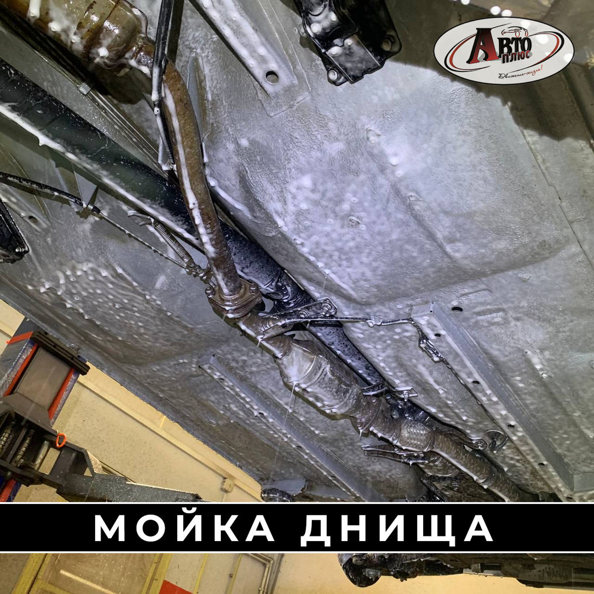 mojka_029871