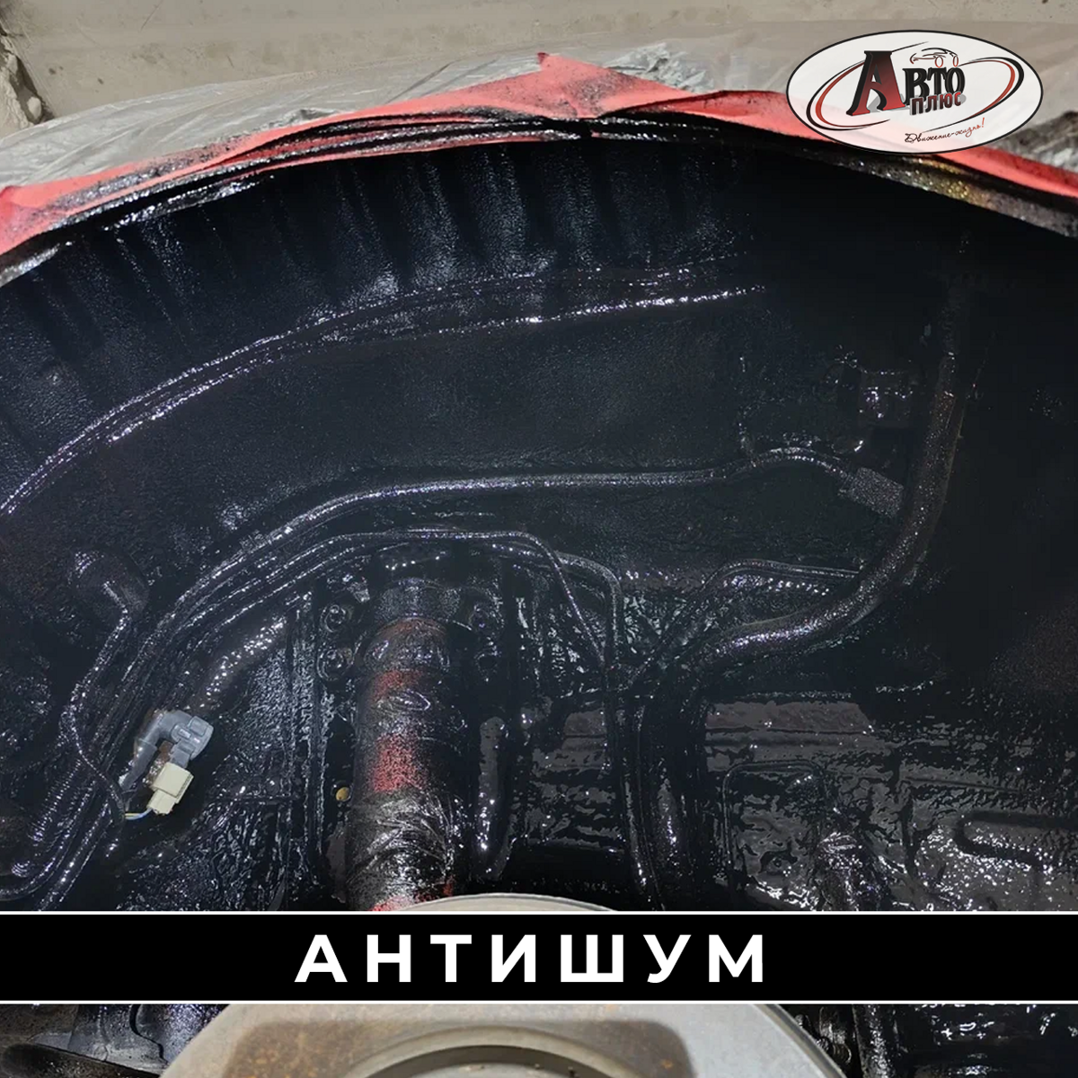 antishum_781494