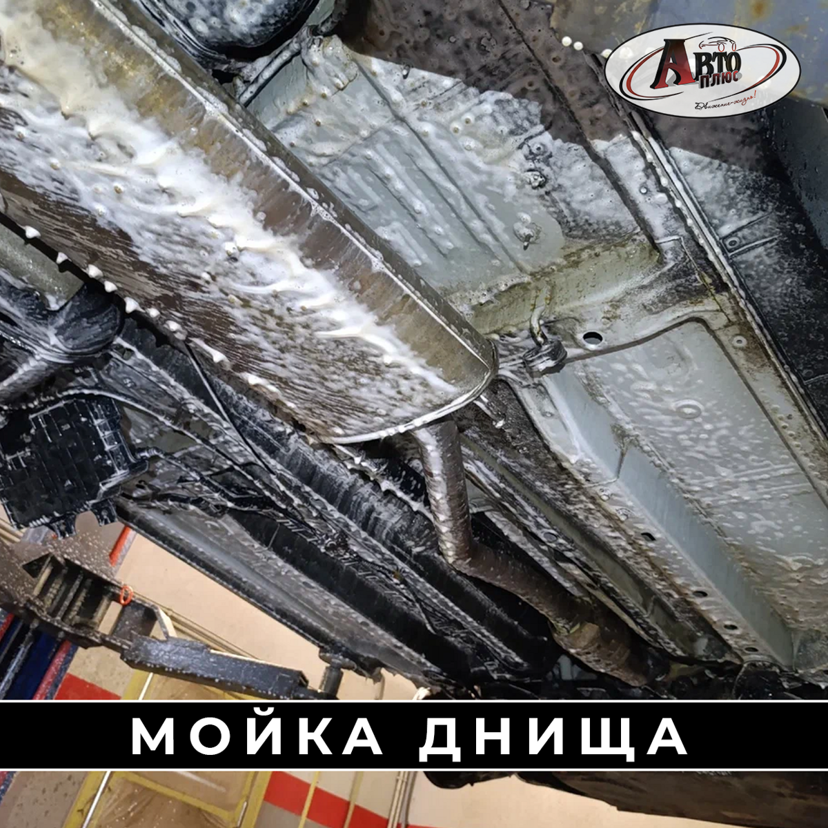 mojka_498353